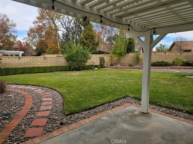 view of yard with a patio