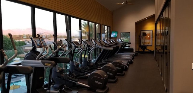 workout area featuring carpet, ceiling fan, and a towering ceiling