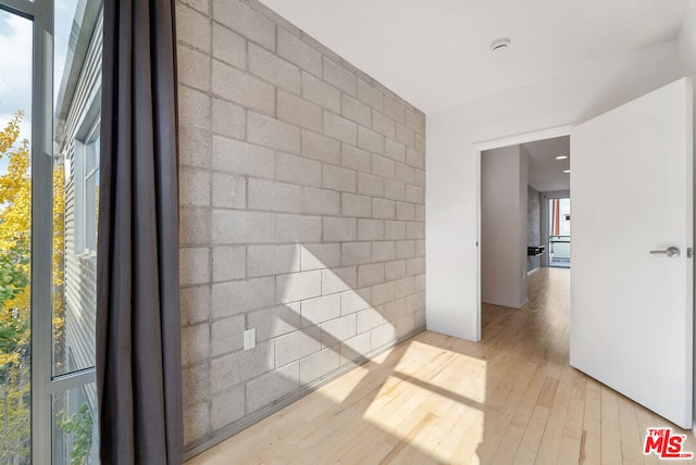 hallway with a wealth of natural light and light hardwood / wood-style flooring