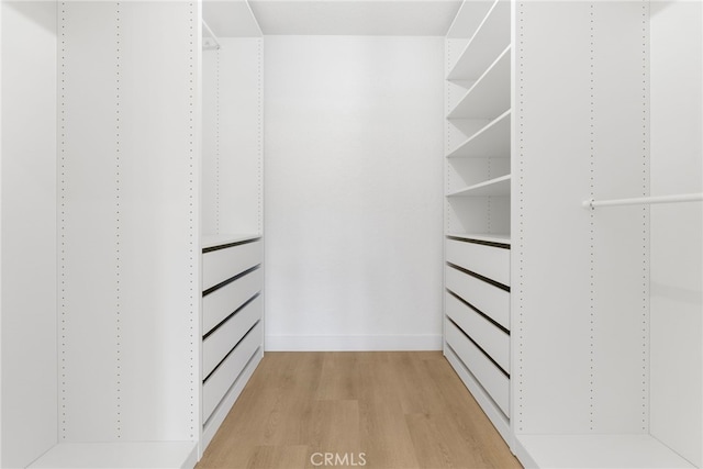 spacious closet featuring wood-type flooring