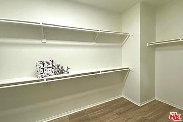 walk in closet featuring dark hardwood / wood-style floors