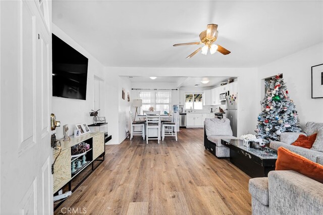 living room featuring ceiling fan, sink, and light hardwood / wood-style flooring