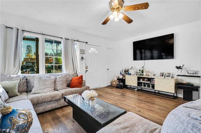 living room with ceiling fan and dark wood-type flooring