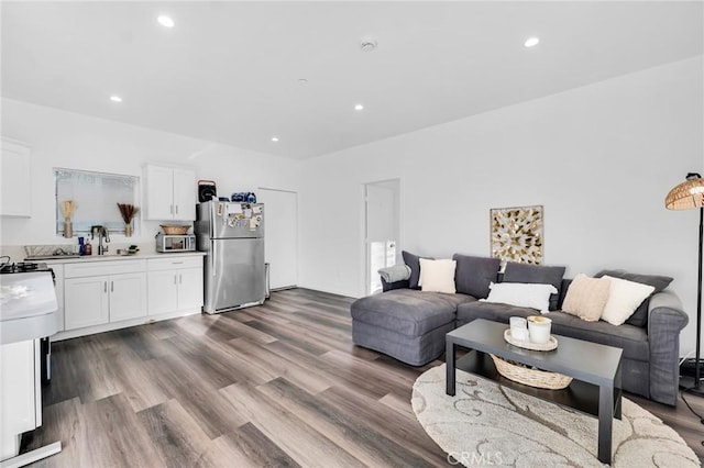 living room featuring sink and hardwood / wood-style flooring