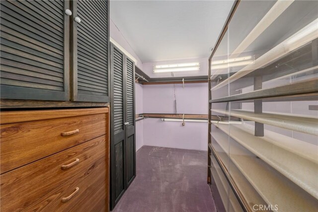 walk in closet with dark colored carpet