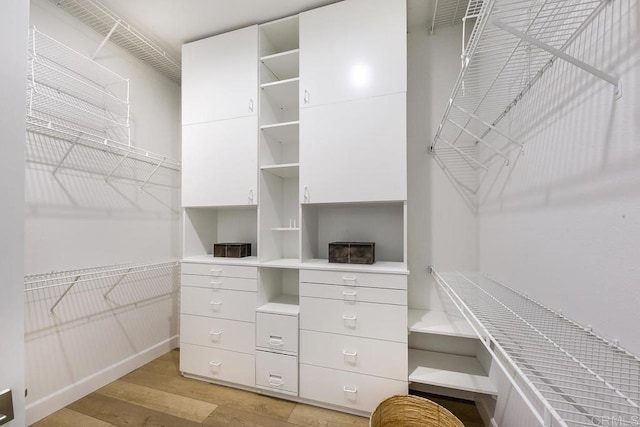 spacious closet featuring light wood finished floors