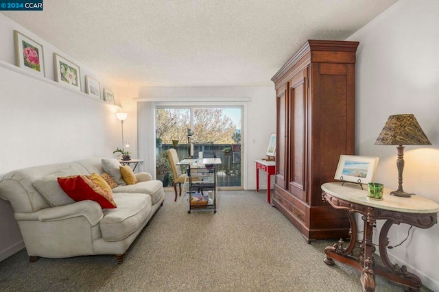 living room with a textured ceiling