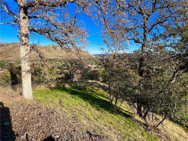 13338 Sampson Dr, Clearlake, CA 95424 - photo 17