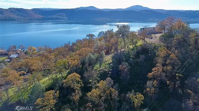 13338 Sampson Dr, Clearlake, CA 95424 - photo 8