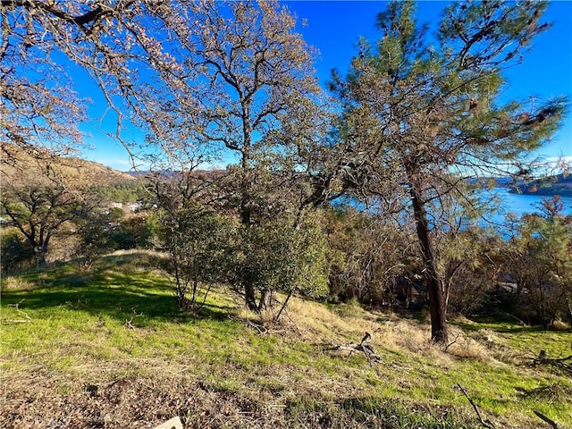13338 Sampson Dr, Clearlake, CA 95424 - photo 16