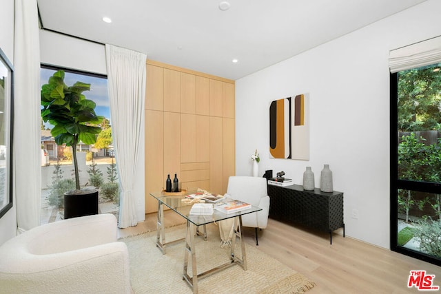 sitting room featuring light hardwood / wood-style flooring and plenty of natural light