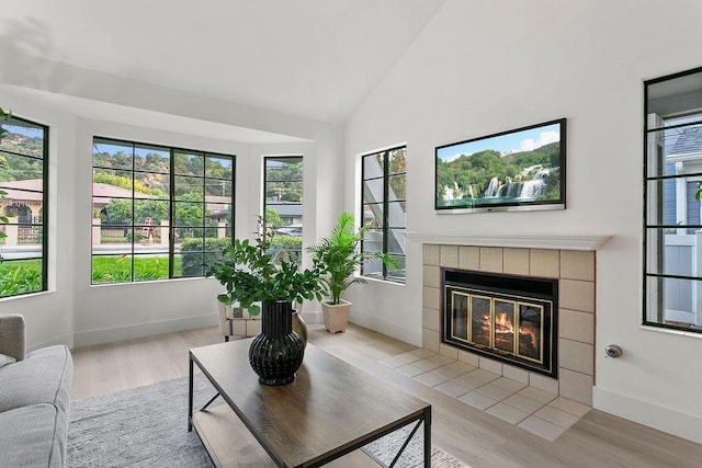 living room with a fireplace, light hardwood / wood-style flooring, and high vaulted ceiling