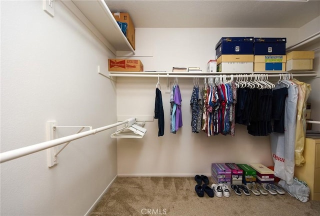 walk in closet featuring carpet flooring