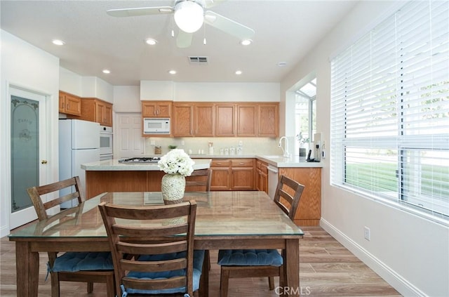 kitchen with ceiling fan, sink, light wood-type flooring, and appliances with stainless steel finishes