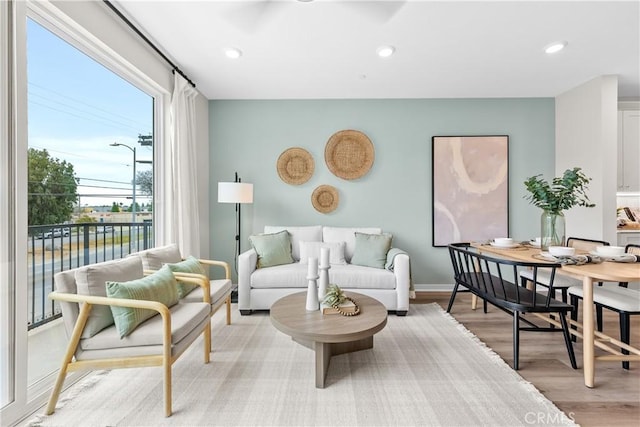 living room with light hardwood / wood-style flooring