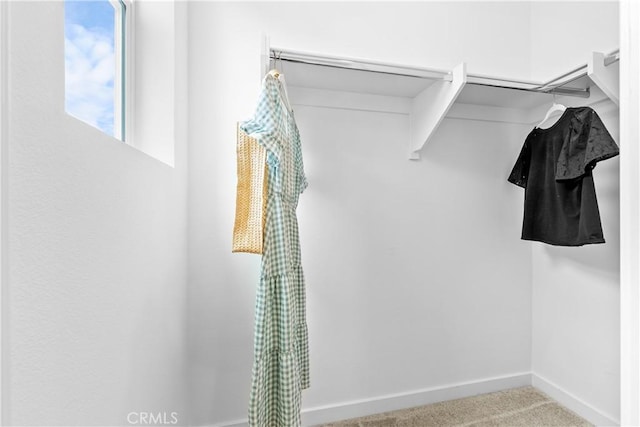 walk in closet featuring light colored carpet