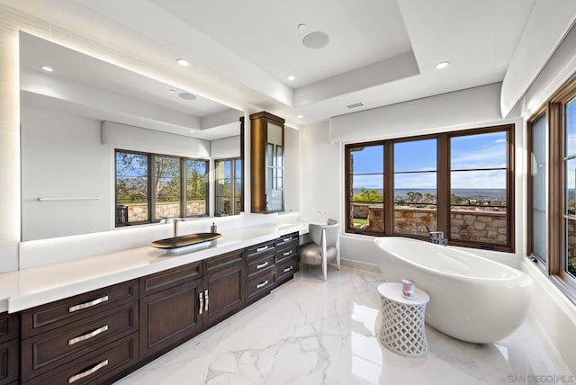 bathroom featuring a raised ceiling, a wealth of natural light, vanity, and a bath