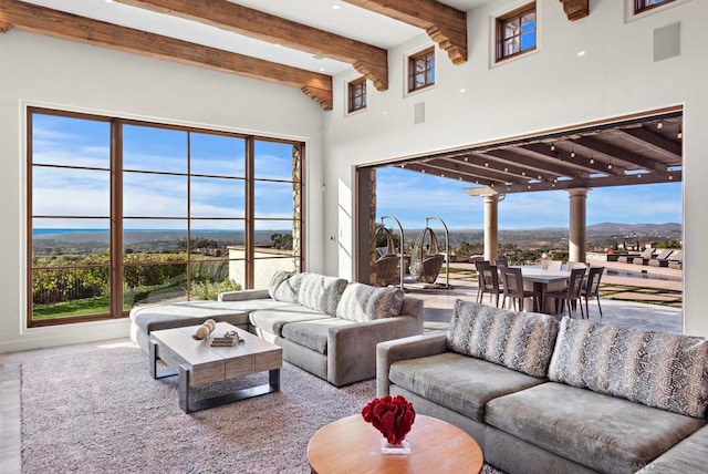 living room with beam ceiling, a wealth of natural light, and hardwood / wood-style floors