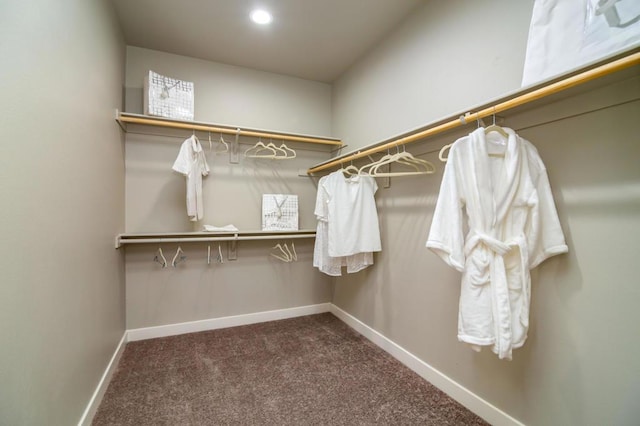 spacious closet with dark colored carpet