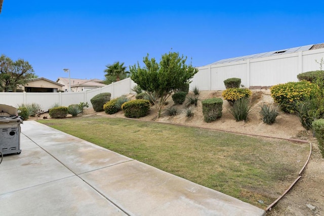 view of yard with a patio