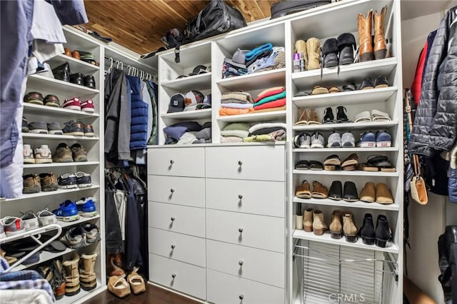 walk in closet featuring hardwood / wood-style floors