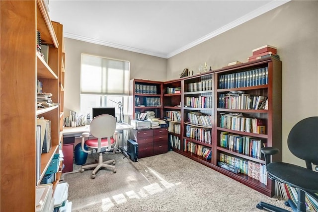 office area featuring carpet flooring and crown molding