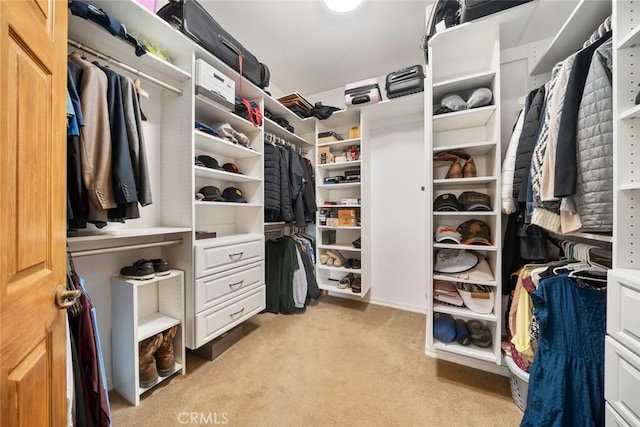 walk in closet featuring light colored carpet