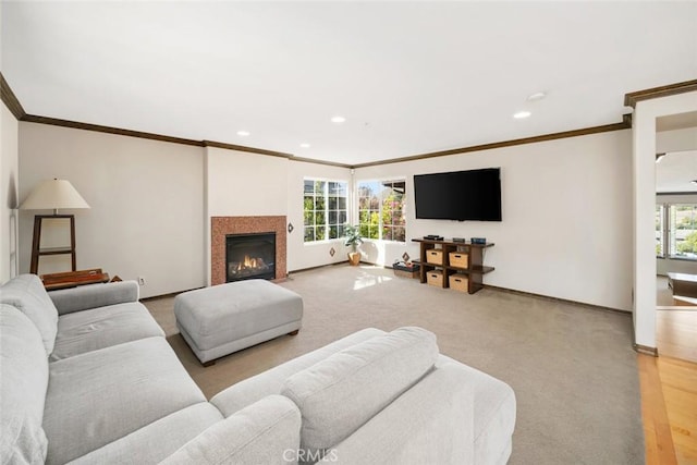 living room featuring crown molding