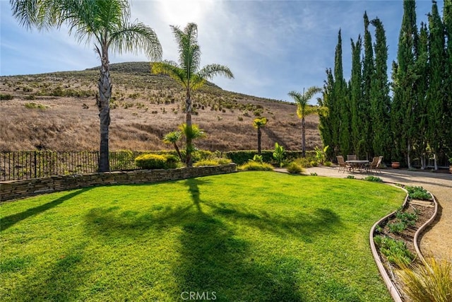 view of yard with a patio area