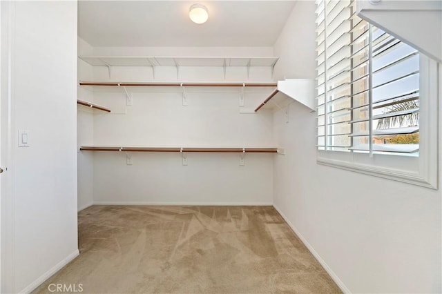 spacious closet featuring light carpet