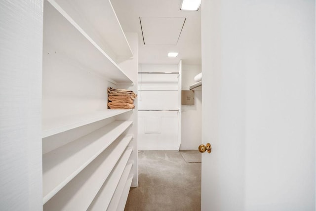 walk in closet with light carpet