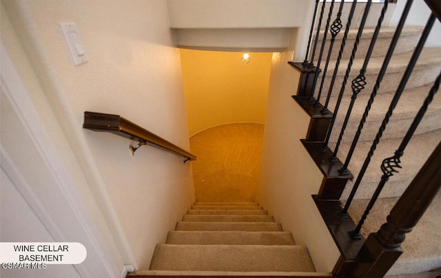 staircase with carpet floors