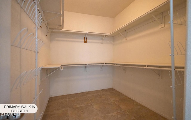 spacious closet featuring tile patterned flooring