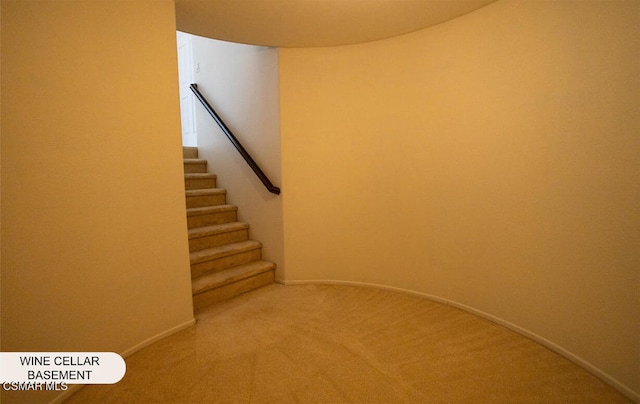 stairway with carpet floors