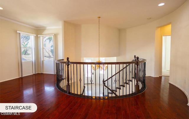 hallway with crown molding, dark hardwood / wood-style floors, and an inviting chandelier