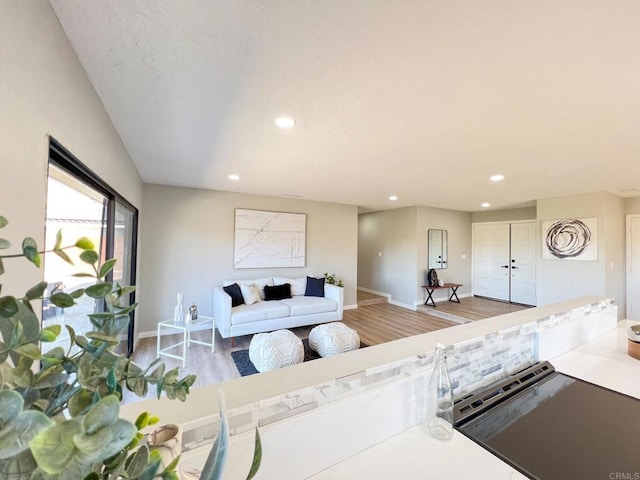 living room featuring hardwood / wood-style flooring