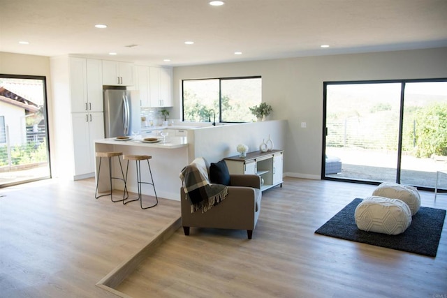 living room with light wood-type flooring