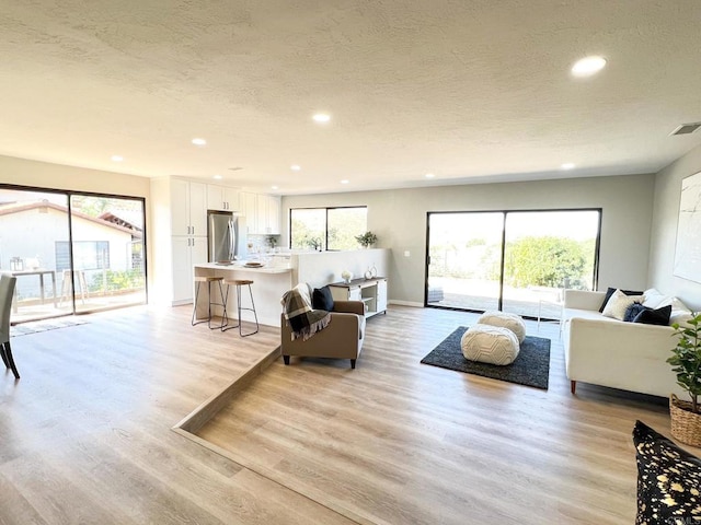 living room featuring a wealth of natural light, a textured ceiling, and light hardwood / wood-style floors