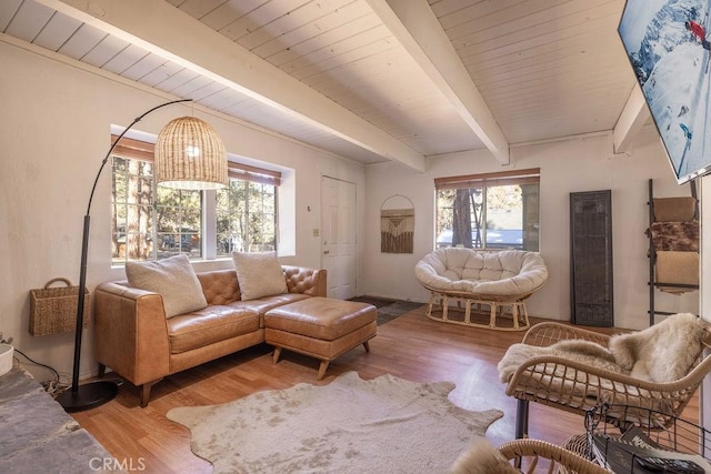 living room with hardwood / wood-style flooring, a healthy amount of sunlight, and beam ceiling