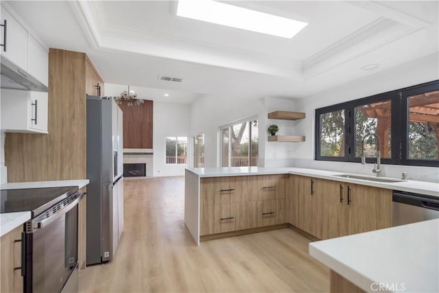 kitchen with an inviting chandelier, stainless steel appliances, a raised ceiling, and light hardwood / wood-style flooring