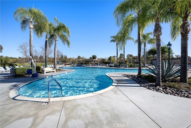 view of pool with a patio