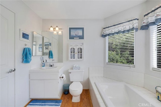 full bathroom with vanity, wood finished floors, a garden tub, and a wealth of natural light