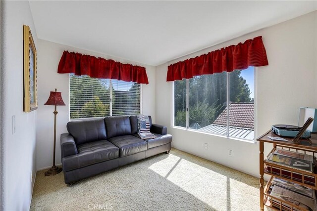 living room featuring carpet and plenty of natural light