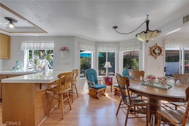 dining space featuring light hardwood / wood-style flooring and a textured ceiling