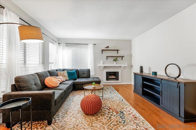 living room featuring light hardwood / wood-style floors