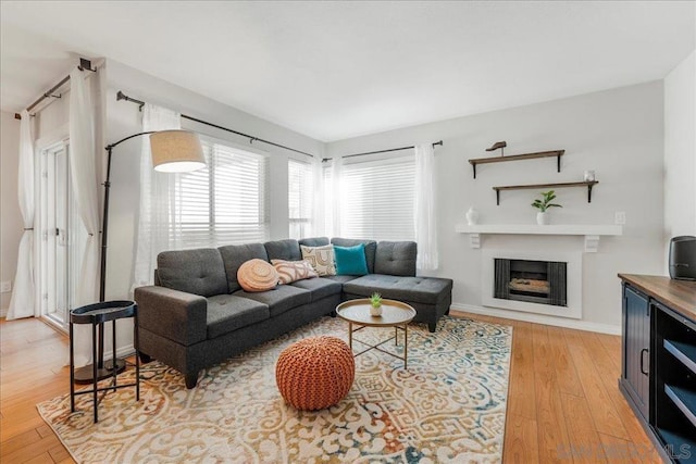 living room featuring hardwood / wood-style flooring