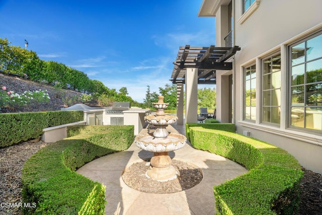 view of yard with a pergola, an outdoor kitchen, and a patio area