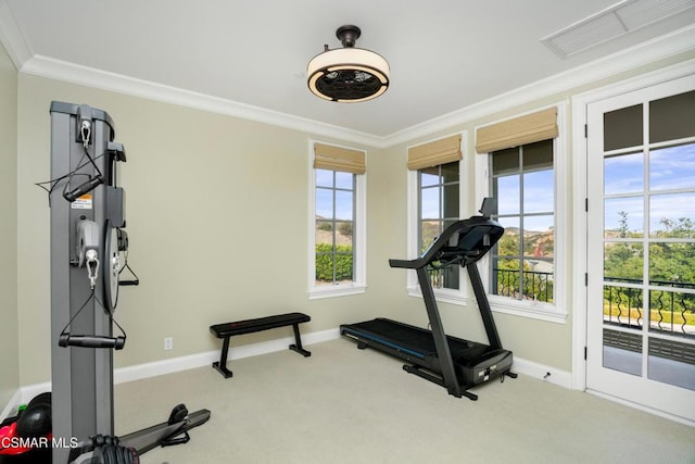 workout room with carpet floors and crown molding