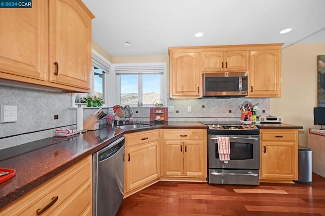 kitchen featuring dark hardwood / wood-style flooring, sink, stainless steel appliances, and light brown cabinetry