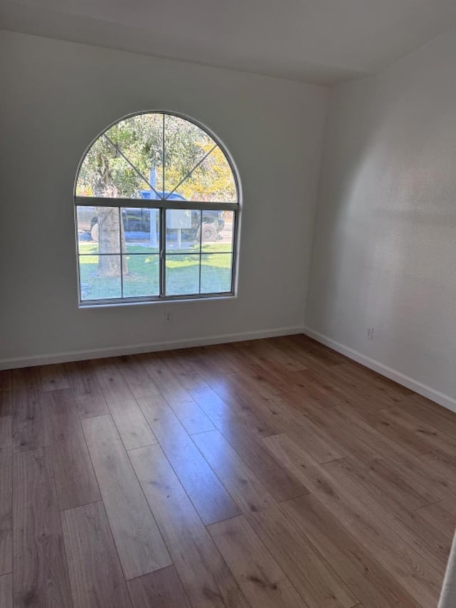 empty room featuring plenty of natural light and light wood-type flooring